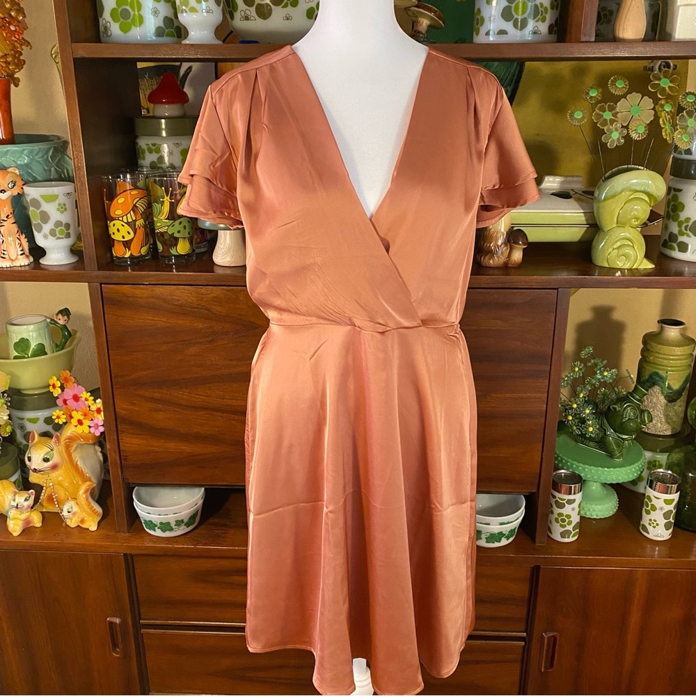 NWT Lrg Peachy Silky Dress